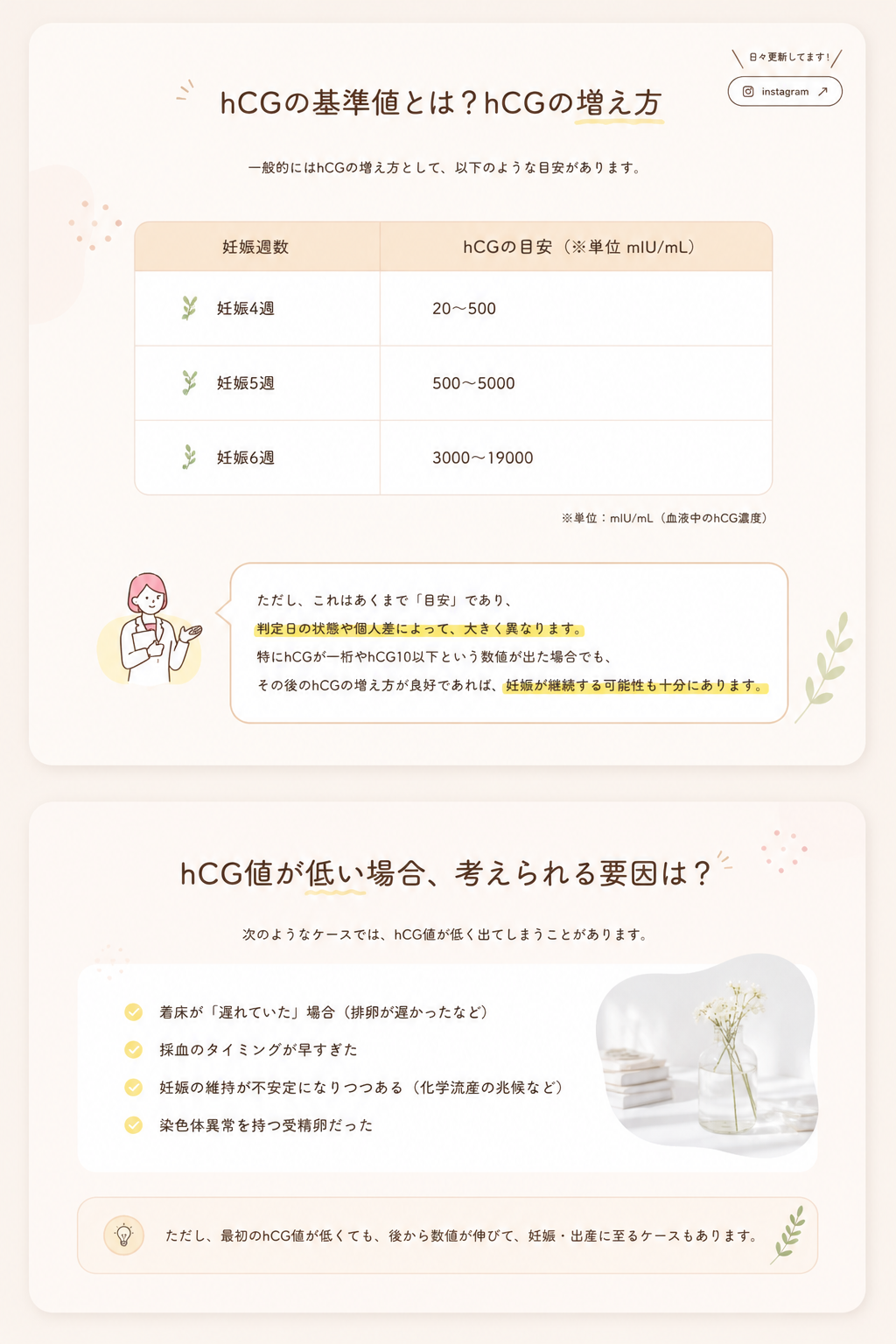 ひまわり鍼灸院 hCG基準値ページデザイン